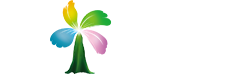 青岛新视诺网络科技有限公司